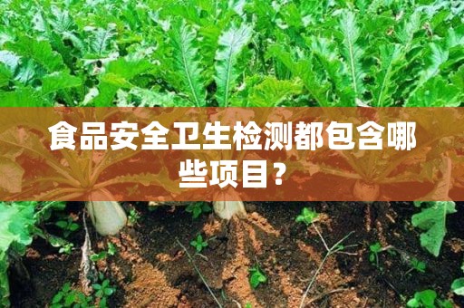 食品安全檢測哪些項目www.mizmi.cn